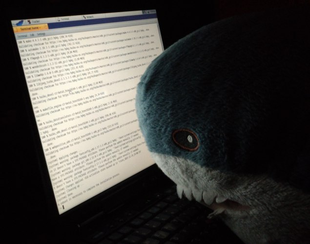 image made by klara! music by me tho ^w^